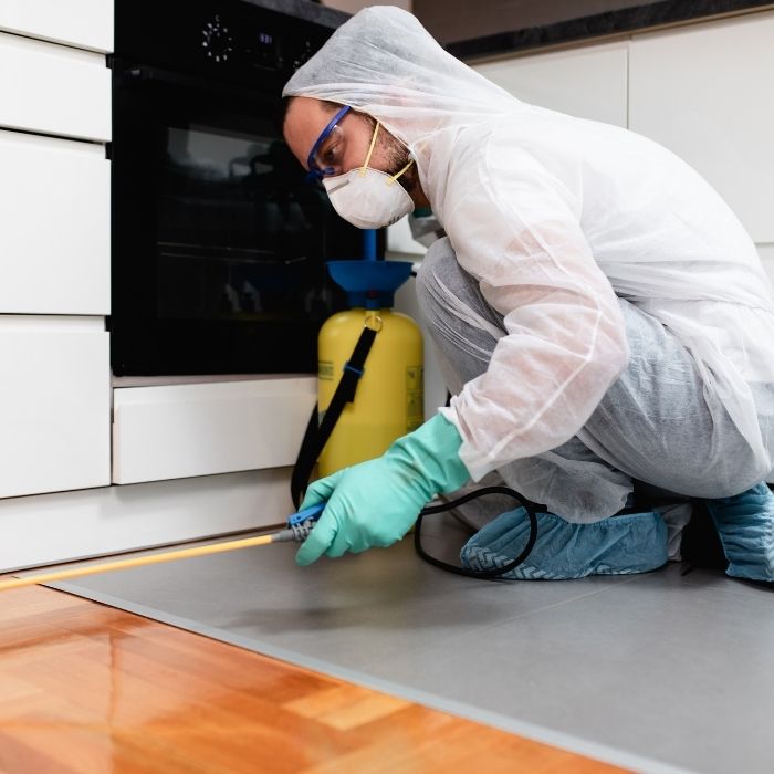 Hamam Böceği İlaçlama