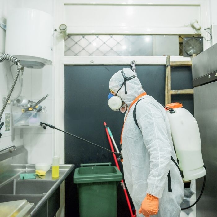 İş Yeri İlaçlama