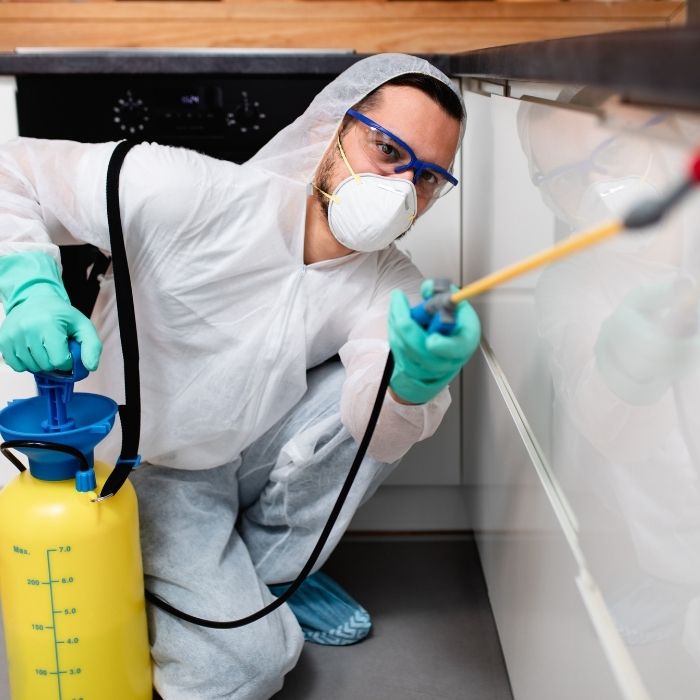 Kalorifer Böceği İlaçlama