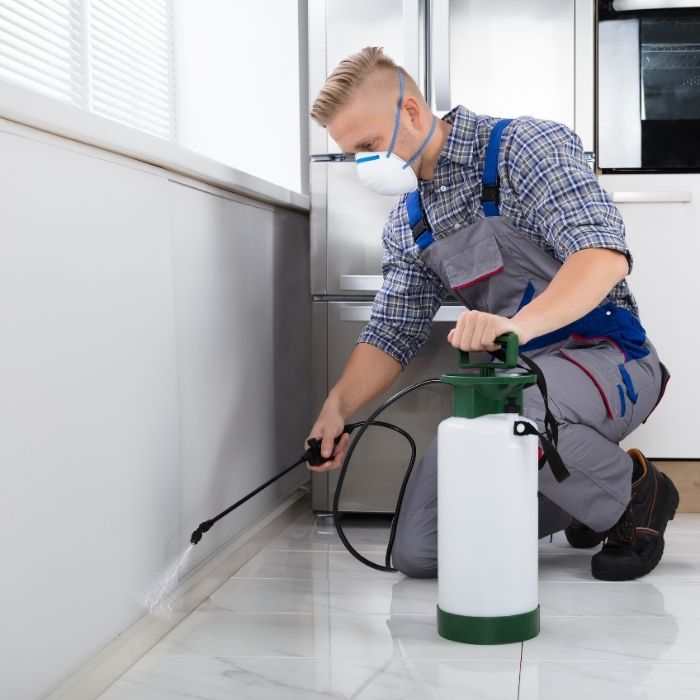 Tahtakurusu İlaçlama